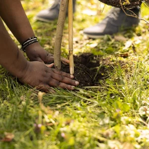 Join Us for the Green Leaf Kenya Inaugural Event: Sowing Seeds of Sustainability