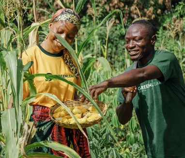 agribusiness